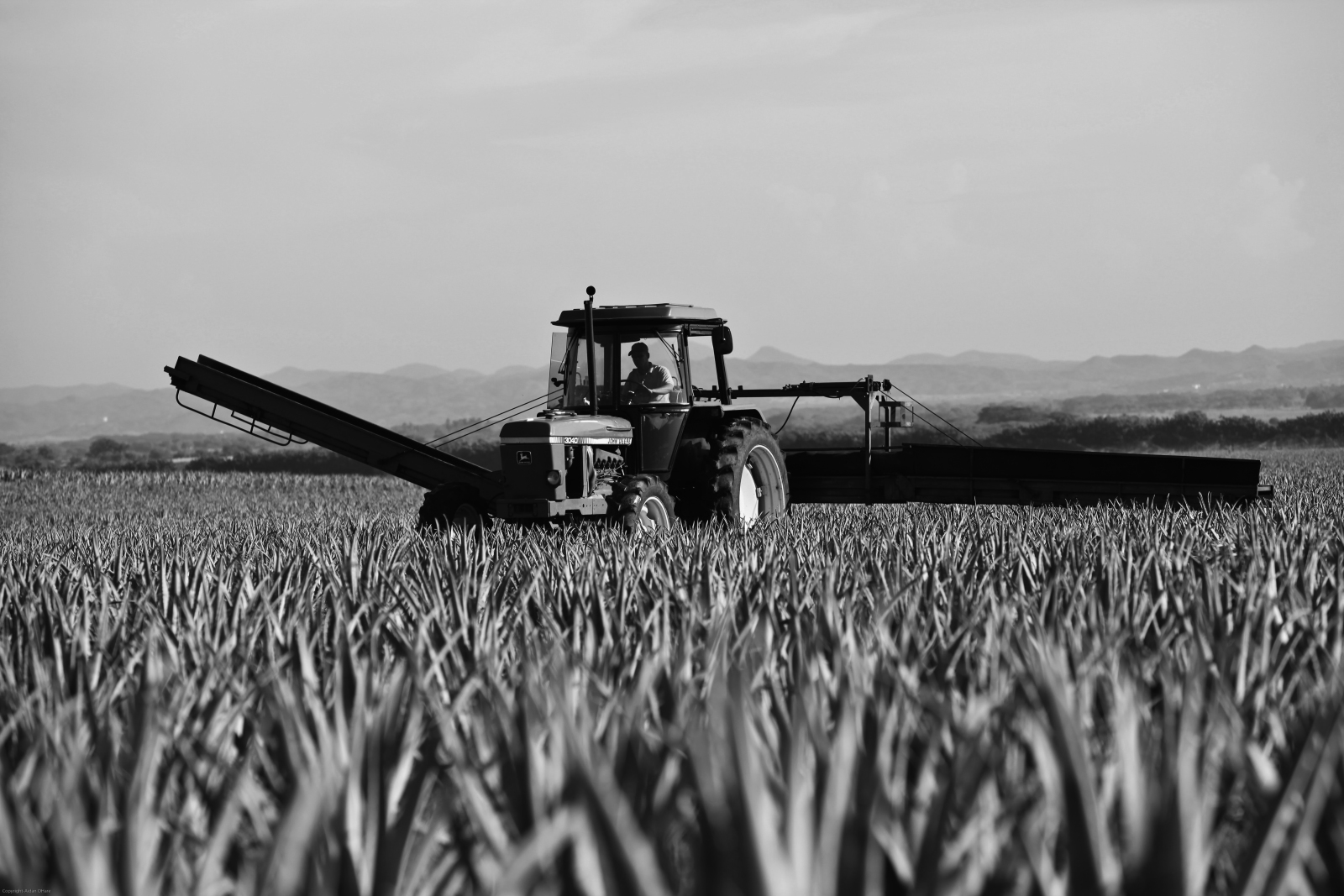 tractor op veld